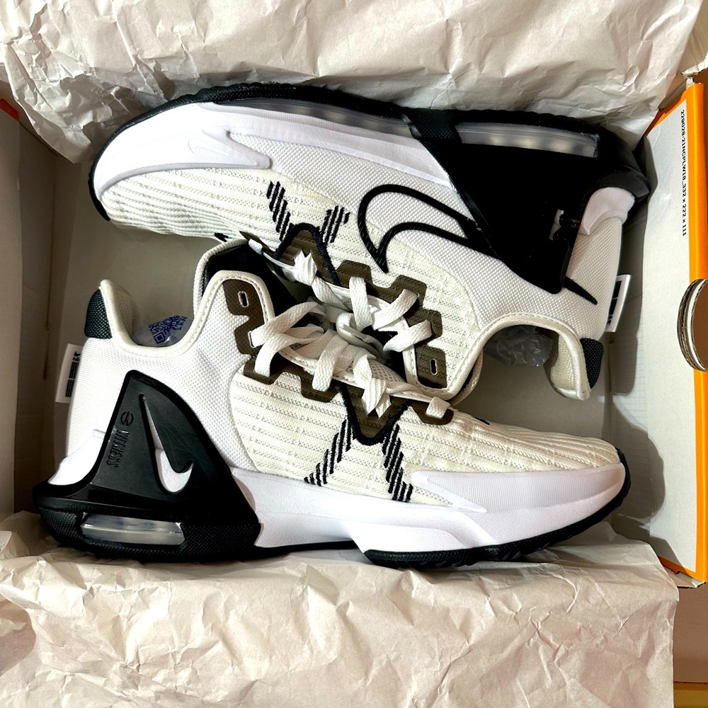 NIB Nike LeBron Shoes